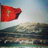 🇲🇦🍊🇵🇸's profile picture