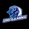 DM Gaming's profile picture