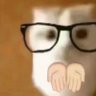 Profilbild von xss
