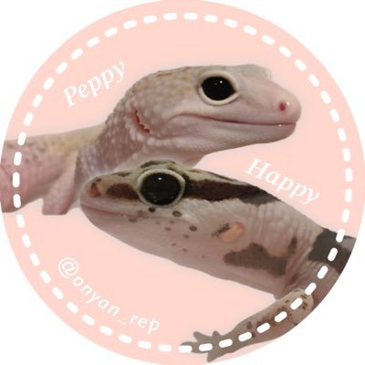 onyan_rep's profile picture