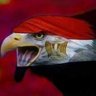 🇪🇬🌴🇦🇪🌴samir profil fotoğrafı