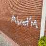 Ahmet 的头像