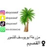 مزرعة أبو يوسف profil fotoğrafı