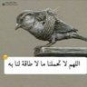 Profilbild von دقي ياساعة وقولى بالحق