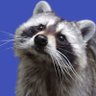 Shrinivas's profile picture
