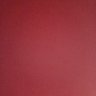 trollOgenerici🏳️🌈's profile picture
