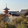 神社 profil fotoğrafı