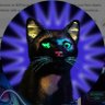 Фото профиля NIFFTYCAT