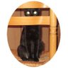 unumaine profil fotoğrafı