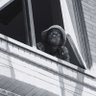 Thato Justin ๐ฟ๐ฆ's profile picture