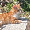 Victoria profil fotoğrafı