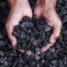 Profilbild von NETforcarbon