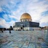 محمود profil fotoğrafı
