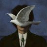 arielo's profile picture