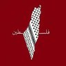 Safaa's profile picture