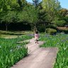 ろあの 的头像