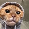 potter1997's profile picture