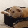 しゅん profil fotoğrafı