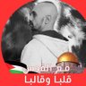 تامر ممدوح عبد القادر الحسيني 的头像