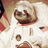 sz's profile picture