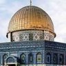 Фото профиля Mohamed omara