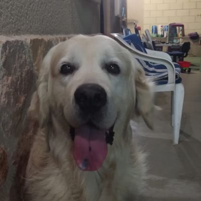 Gorka Nuñez's profile picture