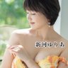 🦋新河ゆりあ🦋's profile picture