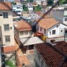 paz e amor 的头像