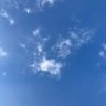 🇯🇵にぎりおやかた 的头像
