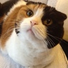 Profilbild von OguraKinako