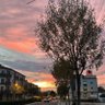 fener profil fotoğrafı