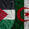 Profilbild von أبو البراء
