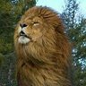 Saidabouahmad's profile picture