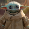 TeakWoodKite's profile picture