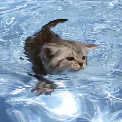 ocean_0's profile picture