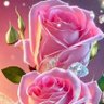 Profilbild von Laura