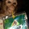 Dominik's profile picture