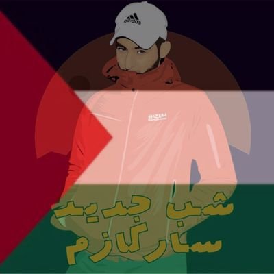 ShabjdedSarcasm's profile picture