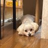 ACE's profile picture