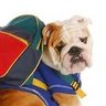 COSBulldog's profile picture
