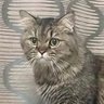 Profilbild von TAPTIM