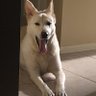 Фото профиля Duke