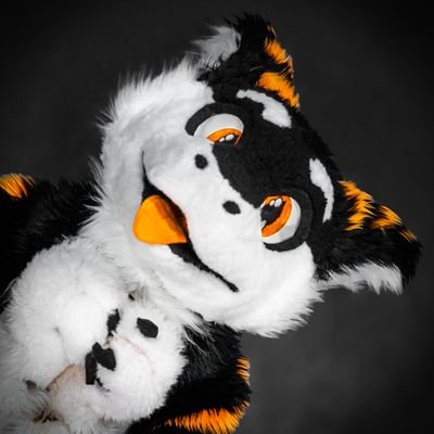 SilySox's profile picture