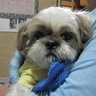 あじ＠山本's profile picture