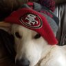 ElderBean's profile picture
