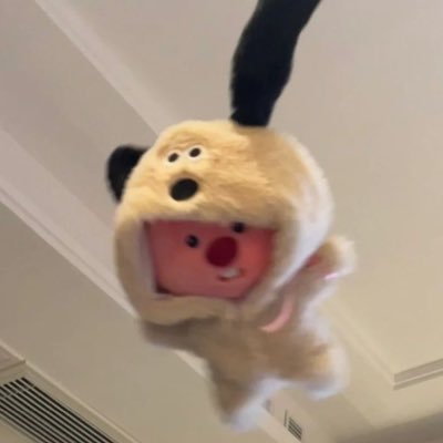사빠's profile picture