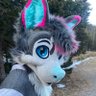 Crux Wusky 🔜 Animalz/DW/Furnavia profil fotoğrafı