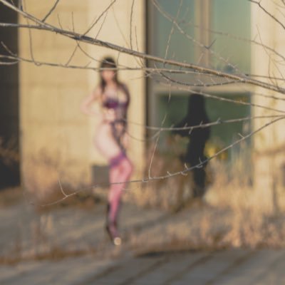 brxf123's profile picture