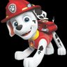 Saged Webas's profile picture