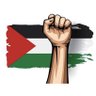 saliha's profile picture